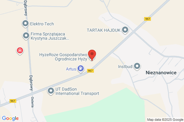 Hyzy Jan, mgr inz. Gospodarstwo ogrodnicze