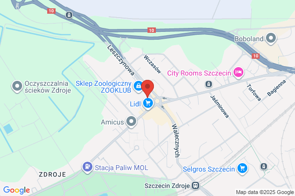 XXL. Szkola jazdy
