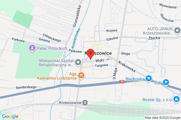 Kinga. Kwiaciarnia