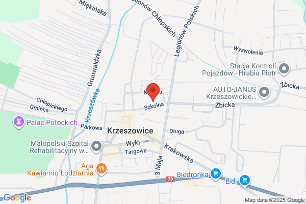Niemczyk Ryszard. Biuro rachunkowe