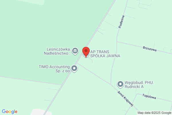 Lupinska Aneta. Transport