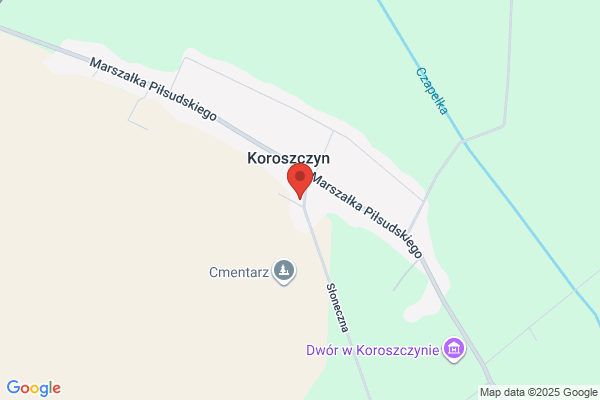 TSW-Pol. Sp. z o.o. Placówka graniczna