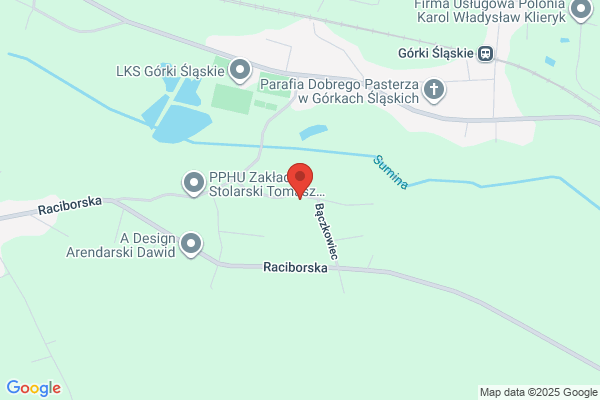 Budziszewski Czeslaw. Projektowanie instalacji sanitarnych i gazowych