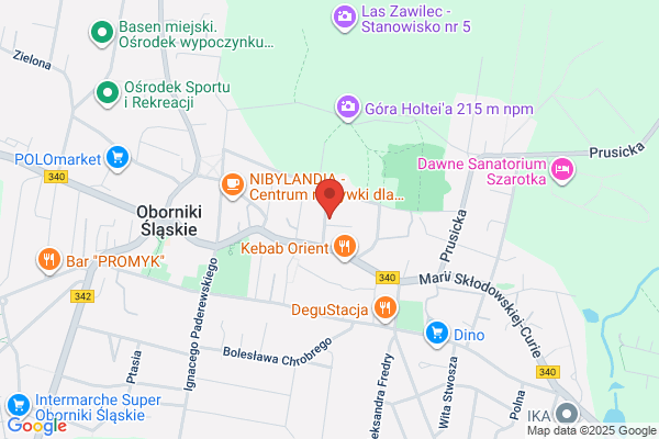 Drzewiec. Konserwacja terenów zielonych. Gliwinski M.
