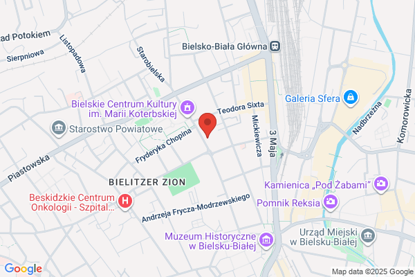 Aleksiu Teodor. Tlumacz przysiegly jez. greckiego
