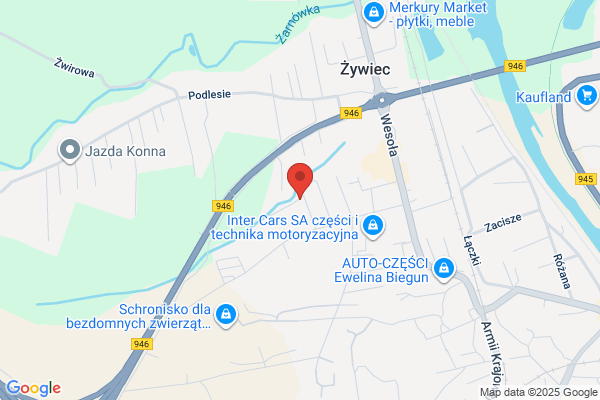 Beskidzkie Centrum Szkolen i Rehabilitacji Dzieciecej SC. Koloczek A., Cechmajster A.