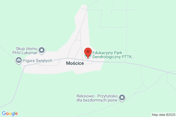 Park. Pracownia dokumentacji i projektowania zieleni. Opinie dendrologiczne. Parki zabytkowe