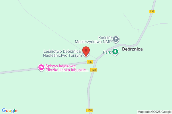 Lesnictwo Debrznica. Nadlesnictwo Torzym