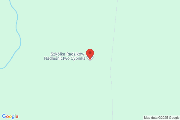Lesnictwo Radzików. Nadlesnictwo Cybinka