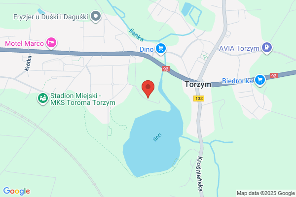 Lesnictwo Tarnawa. Nadlesnictwo Torzym
