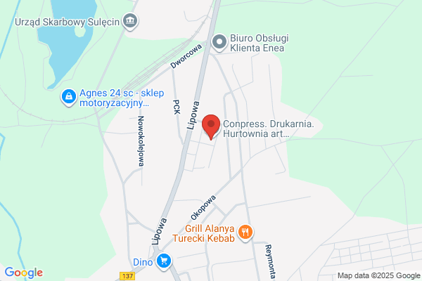 Spych Anna. Uslugi Geodezyjne