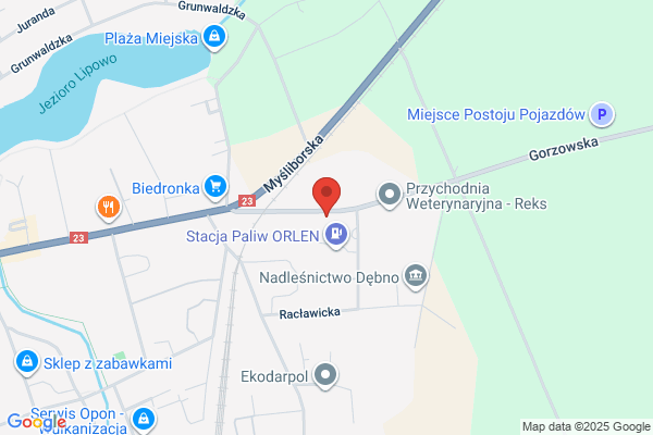 Matuszewski M., lek. stomatolog