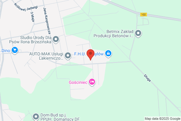Dowgiallo Andrzej. Przewozy autokarowe