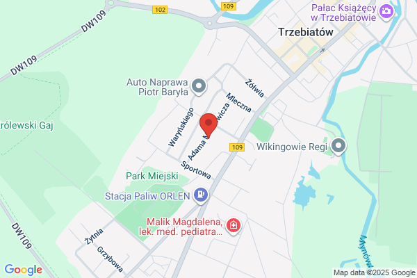 Gutkowski Bohdan. Przewozy autobusowo - busowe