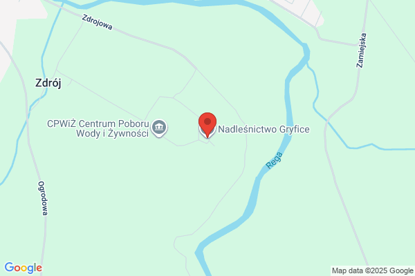 Lesnictwo Goslaw. Nadlesnictwo Gryfice