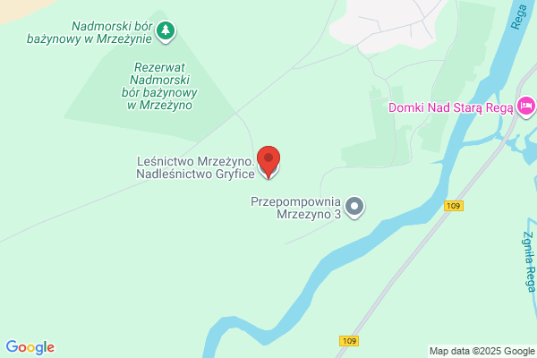 Lesnictwo Mrzezyno. Nadlesnictwo Gryfice