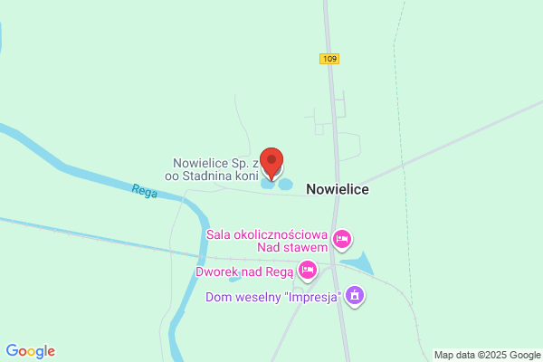 Nowielice. Sp. z o.o. Stadnina koni