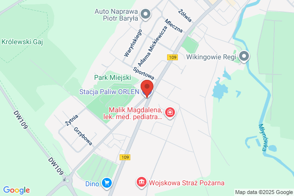 Polski Koncern Naftowy Orlen SA. Stacja paliw