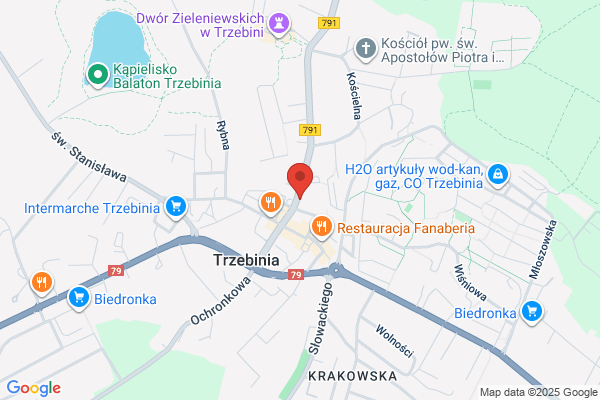 Audix. Badanie sprawozdan finansowych. Mizia S.