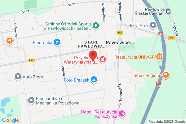 Echo. FU. Kaczmarczyk J.