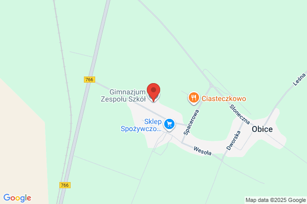 Gimnazjum Samorzadowe
