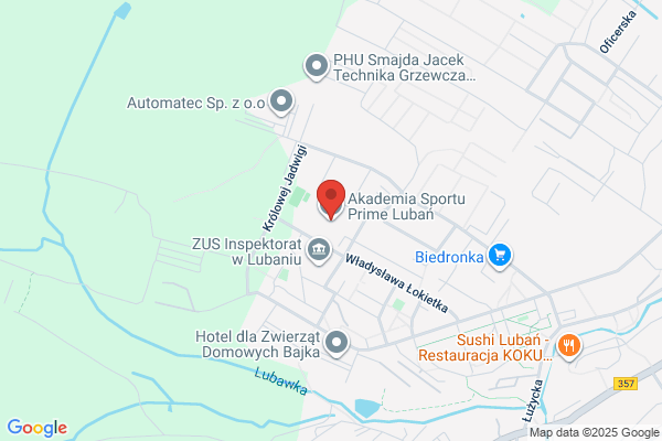 Liceum Profilowane nr I Zespolu Szkól Ponagimnazjalnych nr 1