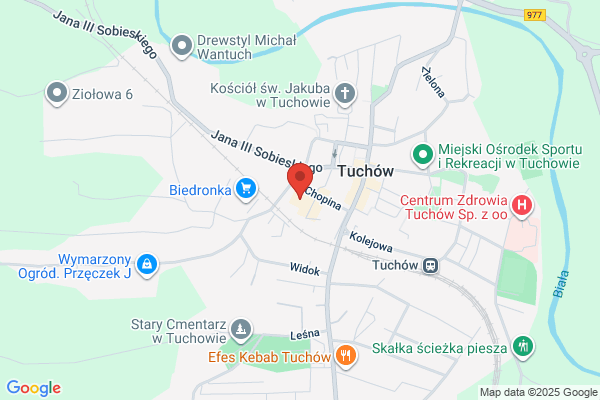 Spoleczne ognisko muzyczne
