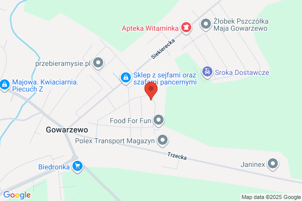 SEOdot - Pozycjonowanie Poznań