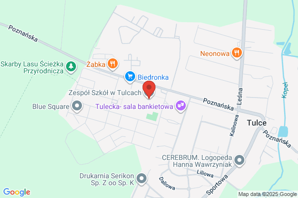 Gimnazjum Zespolu Szkól