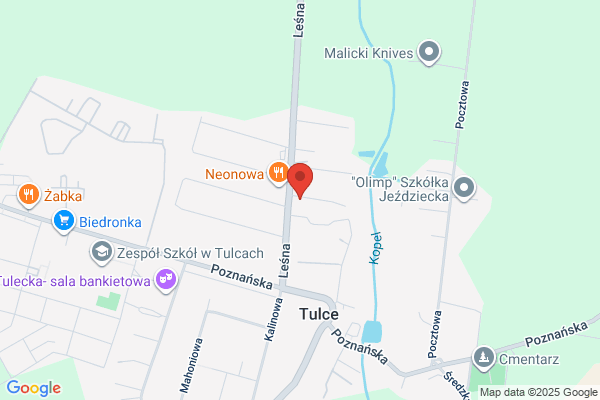 Radziejewski Piotr. Stolarstwo meblowe