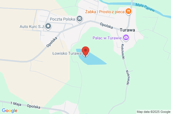Kokot Jacek. Zwierzeta