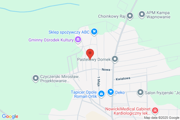 Trans-Swit. S.j. Switala P., K. Transport miedzynarodowy