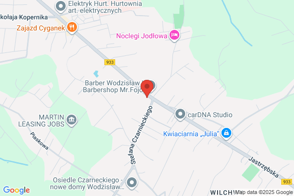 Auto-Elektro. Elektromechanika samochodowa. Wolny M.