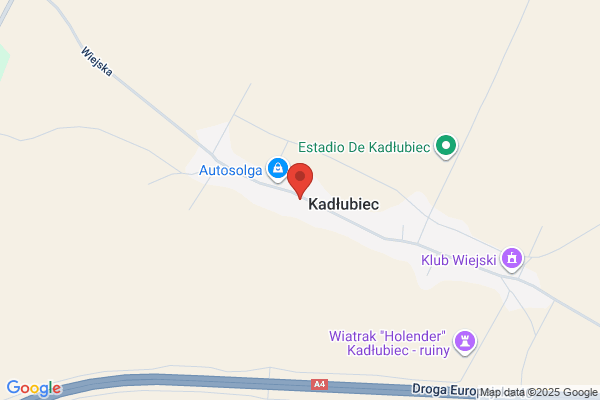Karina. FHU. Sklep wielobranzowy. Lewicki L.