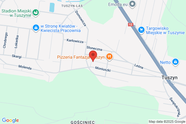 Fungi. Sprzet sportowy i rehabilitacyjny