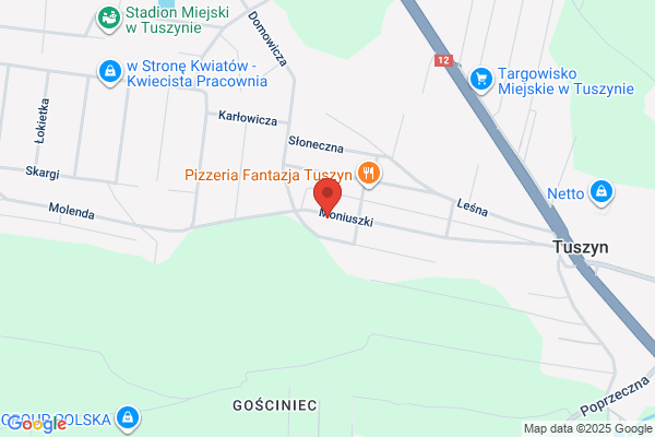 Elektrocar. Elektromechanika pojazdowa