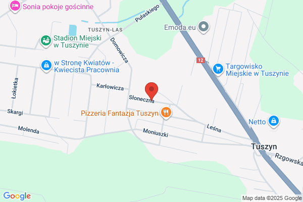 Michalak Urszula. Magiel, prasowalnia