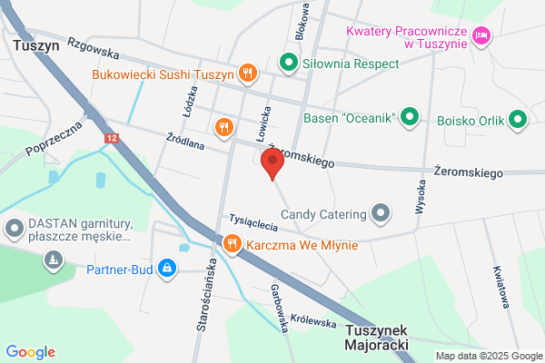 Stasiak M. Transport towarowy, handel opalem
