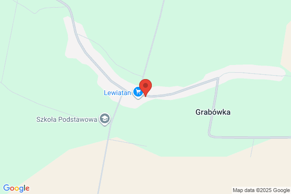 Dabrowski Henryk, Dabrowski Pawel. Apteka