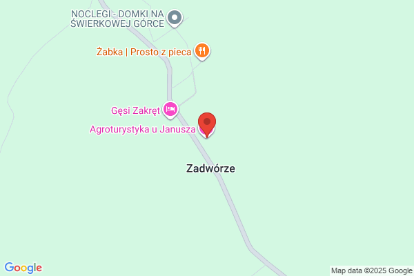 Janusz Pawel. Komputerowe badanie samochodów , autoelektronika