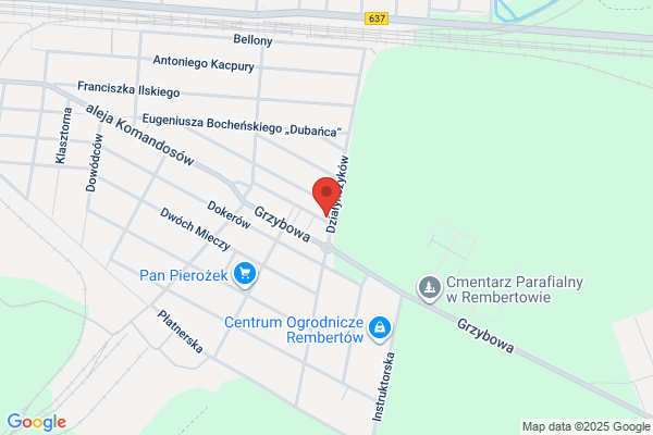 Telsat. Autoryzowany dystrybutor Cyfra+