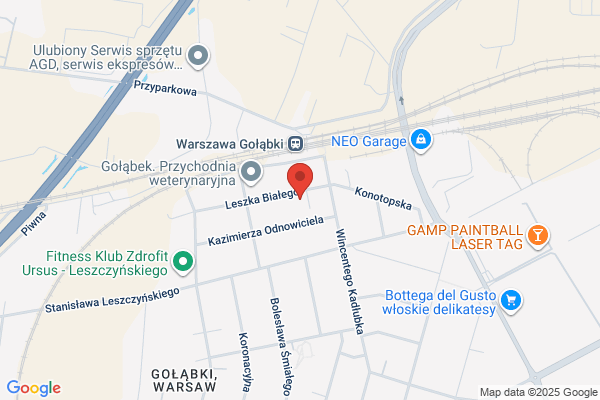 Re Nova. Konserwacja dziel sztuki. Miszczak W.