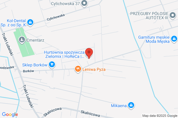 Elser SC. Czapnik B., Górniak L.