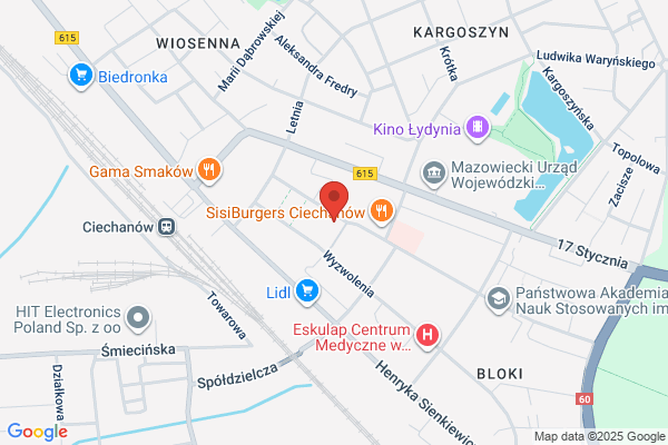 Rutkowski Jaroslaw. Zaklad handlowo - uslugowy elektroniki. Naprawa RTV