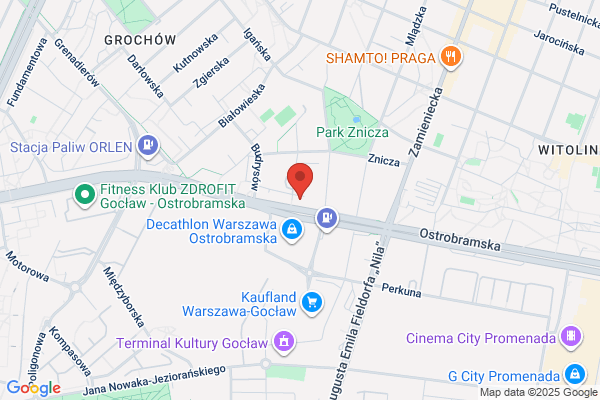 AV.Net. Sp. z o.o. Sieci audiowizualne