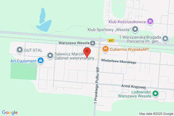 Królak Wojciech. Wynajem autokarów. Przewóz osób