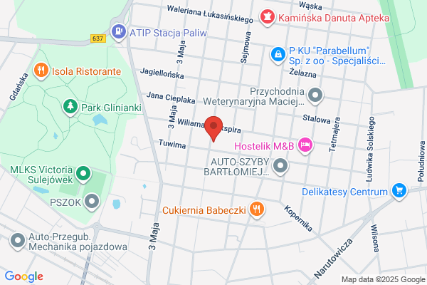 SEM. Wskazniki, mierniki, wyswietlacze