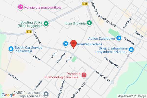 Cymes. Bar gastronomiczny. Wiktorowska I.A.