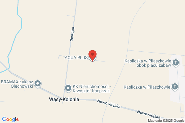 Aqua Plus. Budowa basenów ogrodowych i krytych, stawów i oczek wodnych