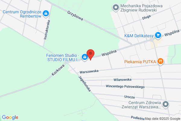 Okna Warszawa Drutex